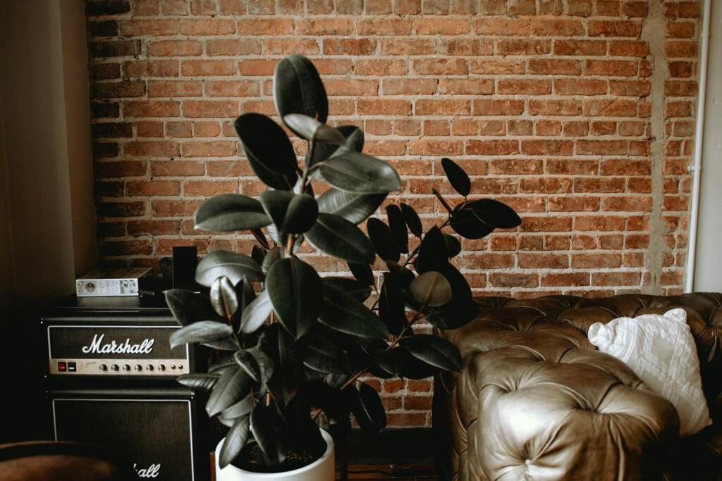 The 511. A Luxury Loft On State St. Apartman Bristol Kültér fotó